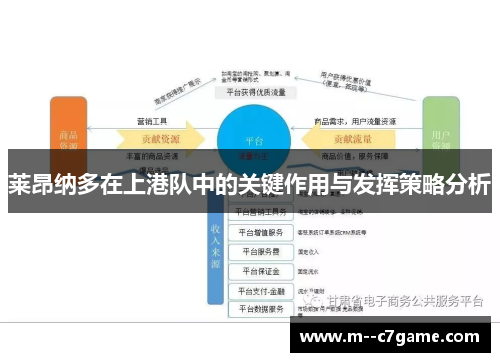 莱昂纳多在上港队中的关键作用与发挥策略分析