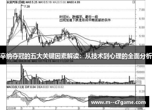 辛纳夺冠的五大关键因素解读：从技术到心理的全面分析